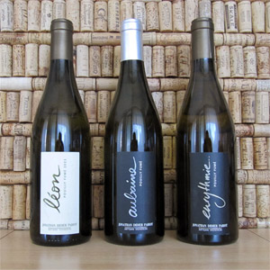 Zářijové tipy vineval: Redefinice Sauvignonu?